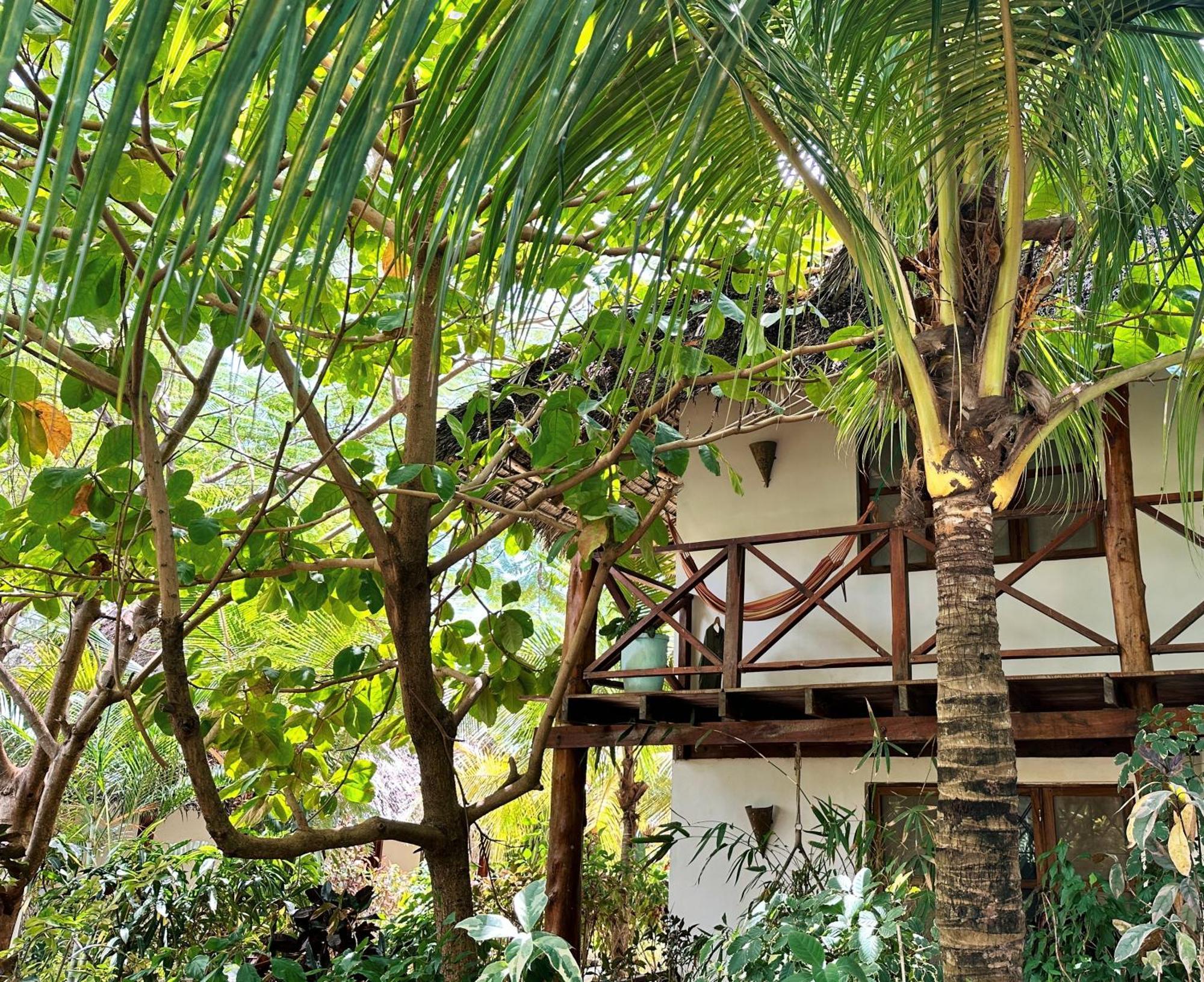 Maisha Nungwi - Boutique Hotel Esterno foto